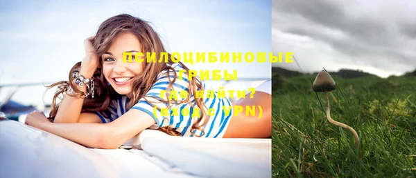 молекула духа Михайловка