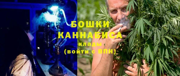 PSILOCYBIN Каменка