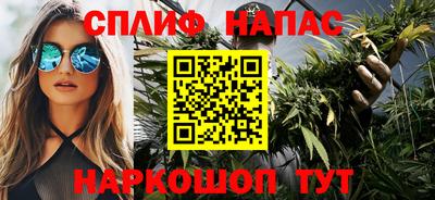 мдпв Дубна