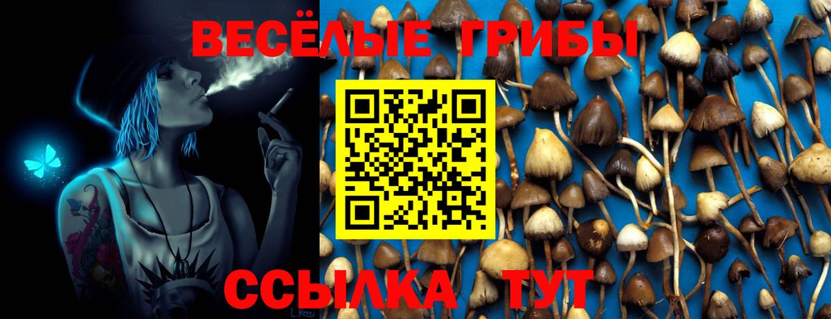 Псилоцибиновые грибы GOLDEN TEACHER  Псилоцибиновые грибы Psilocybine cubensis  Людиново 