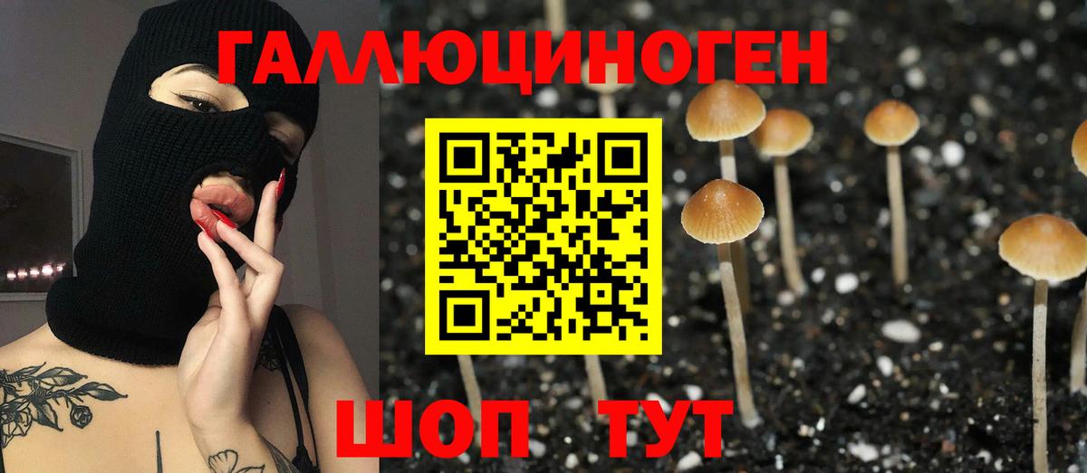 Галлюциногенные грибы Magic Shrooms Людиново