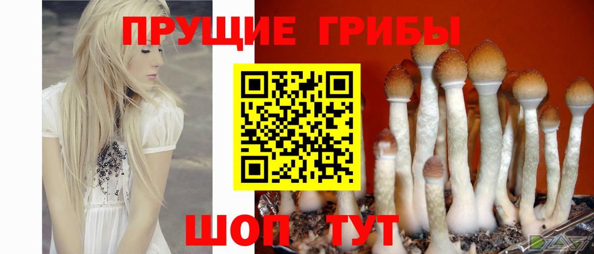 Псилоцибиновые грибы MAGIC MUSHROOMS Людиново