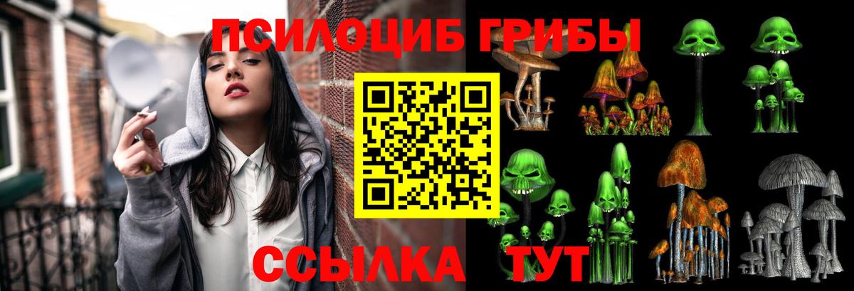 Людиново  Псилоцибиновые грибы прущие грибы  Вход с VPN  Псилоцибиновые грибы Magic Shrooms 