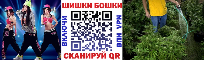 как найти закладки  Людиново  Каннабис индика 